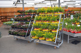 휠과 500kgs 덴마크 꽃 손수레 3 선반 야외 식물 카트