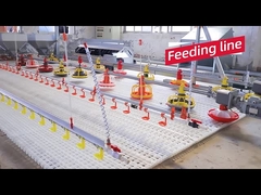 뜨거운 판매 자동 닭장 디자인 가금류 농장 장비