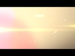 DT1000-6S 솔 샌딩 머신