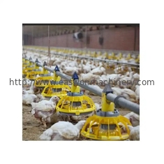 환경 조절 축산업 / 가금류 사육장 장비 자동 피드 닭