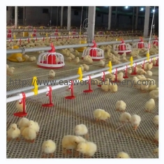 환기 시스템과 닭장 자동 가금류 농장 장비